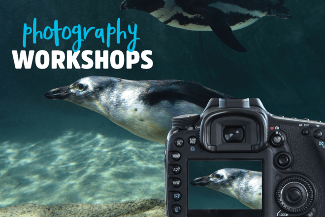 Photography Workshops