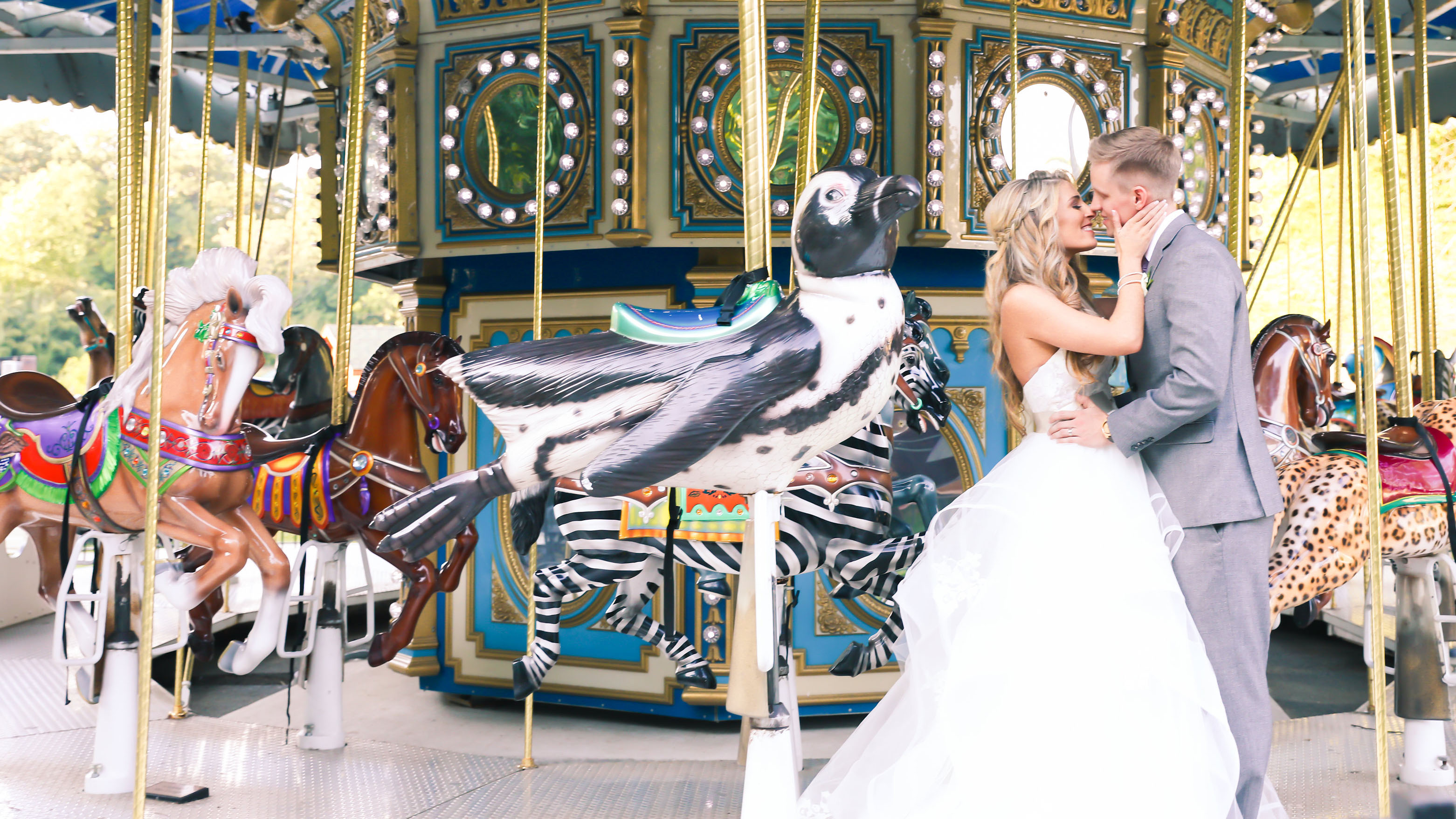 Elopement Package The Maryland Zoo