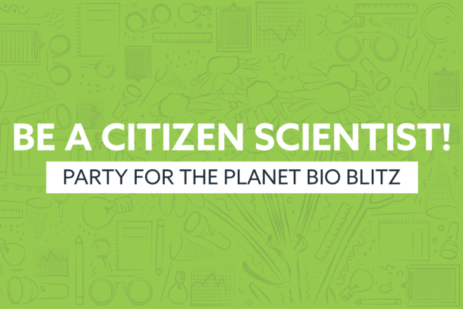 be a citizen scientist Party for the planet bio blitz