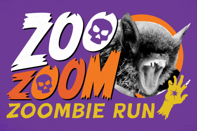 Zoo Zoom: ZOOmbie Run