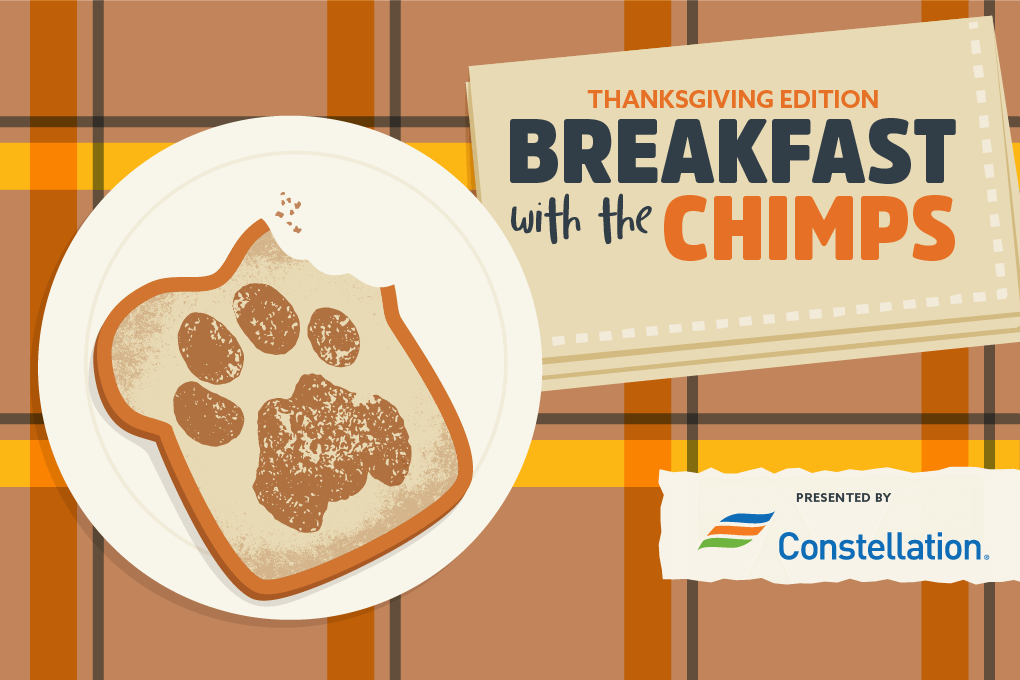 Breakfast with the Chimps Thanksgiving Edition