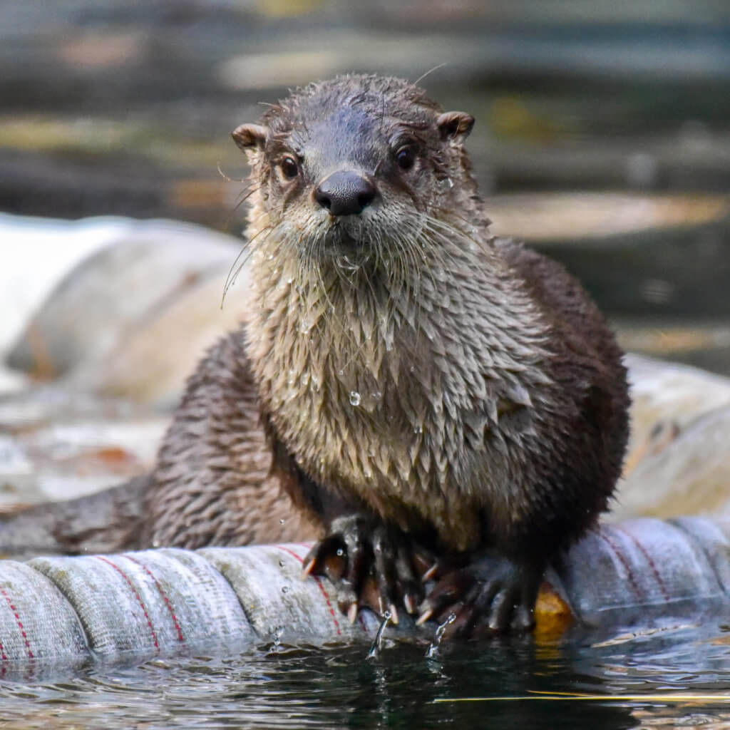 Tickets & Hours | The Maryland Zoo