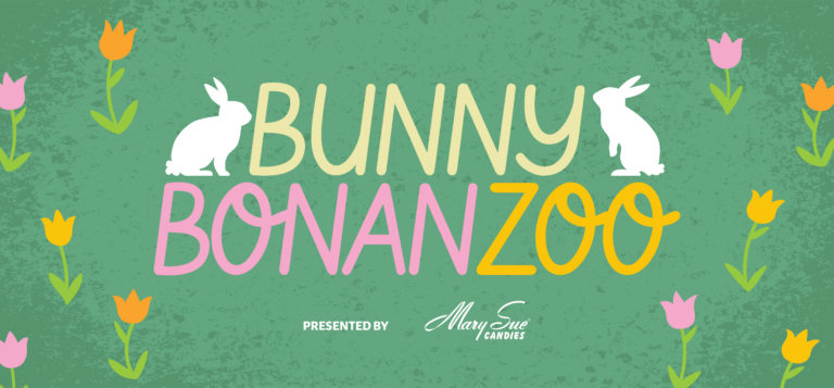 bunny bonanzoo