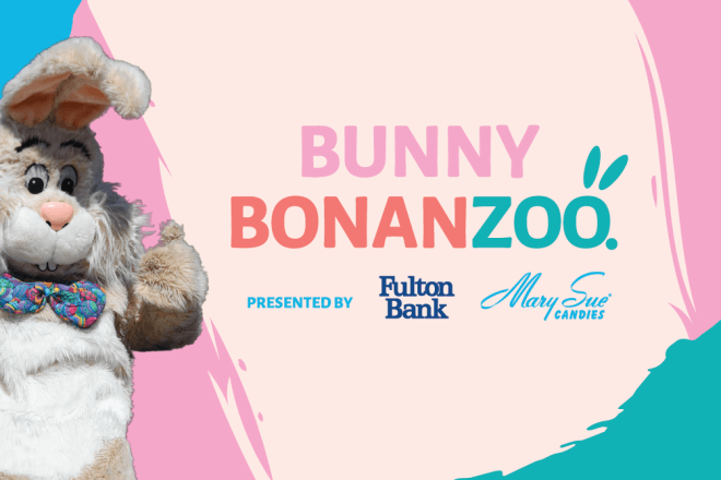 bunny bonanzoo