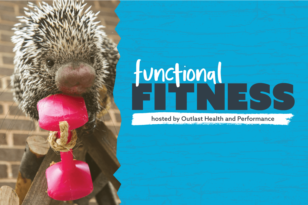 functional fitness