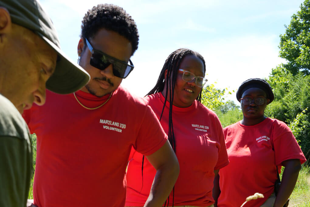 Maryland Zoo Celebrates Mary Wilson Scholars 