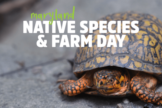 Maryland Native Species and Farm Day