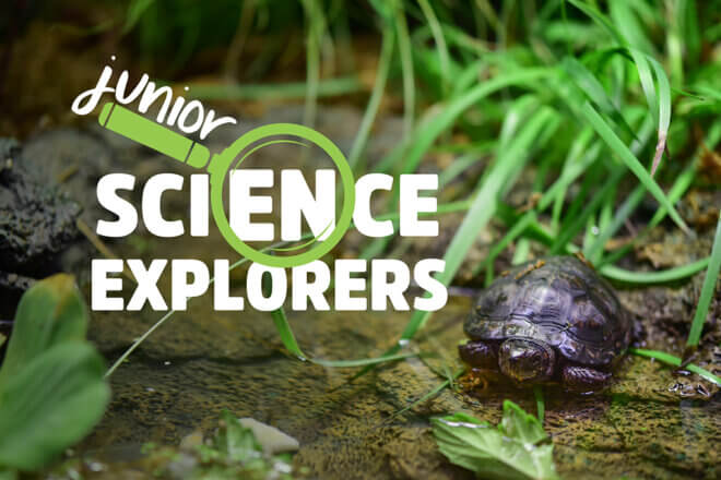 Junior Science Explorers image