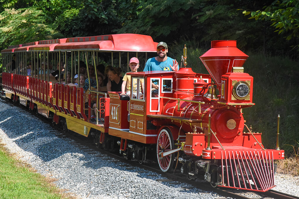 Jones Falls Zephyr train