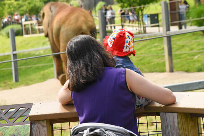 Mom and child viewing elephant