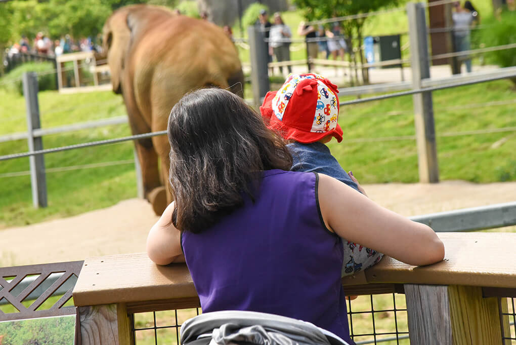 Mom and child viewing elephant