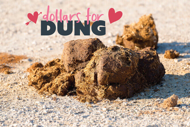 Dollars for Dung