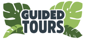 Guided Tours